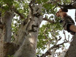 263864_10150257390279901_5211706_n